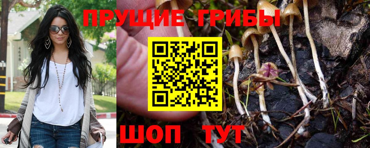 Камень-на-Оби  Галлюциногенные грибы мухоморы  где найти наркотики  Вход с VPN 