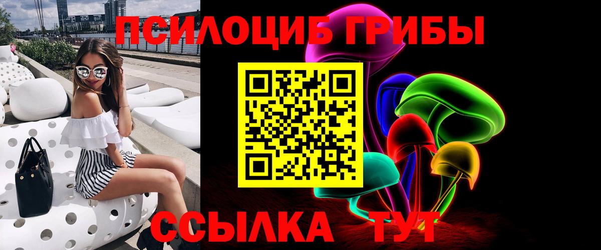 Псилоцибиновые грибы мицелий Камень-на-Оби